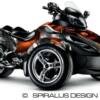 Preview of the Dragon Arachnid graphic kit for the RS Spyder; shown with a red dragon and gray background
